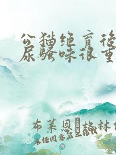 公猫绝育后身上尿骚味很重