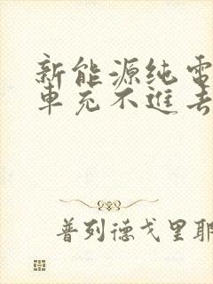 新能源纯电动汽车充不进去电