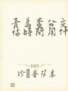 青岛查公交车到站时间用什么软件