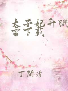 太子妃升职记迅雷下载