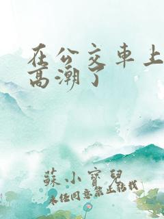 在公交车上被弄高潮了
