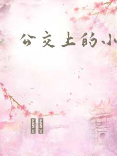 公交上的小说