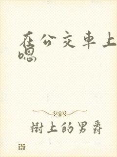在公交车上嗯嗯嗯