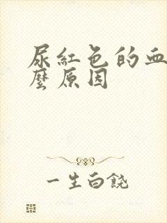 尿红色的血是什么原因