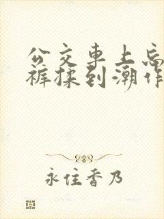 公交车上忘穿内裤揉到潮作文