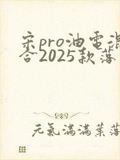 宋pro油电混合2025款落地价