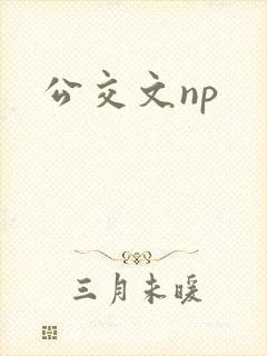 公交文np