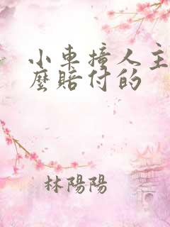 小车撞人主责怎么赔付的