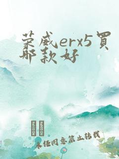 荣威erx5买哪款好