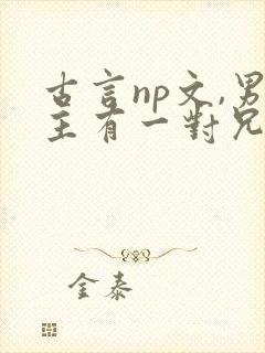 古言np文,男主有一对兄弟姓冷的小说