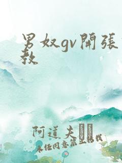 男奴gv开张调教