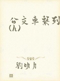 公交车系列小说(h)
