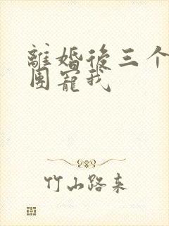 离婚后三个大佬团宠我
