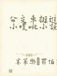 公交车挺进她的小噗呲小说
