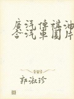 广汽传祺油电混合汽车图片及价格