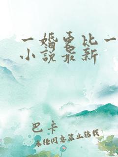 一婚更比一婚高小说最新