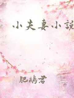 小夫妻小说