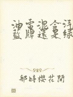 油电混合汽车挂蓝牌还是绿牌