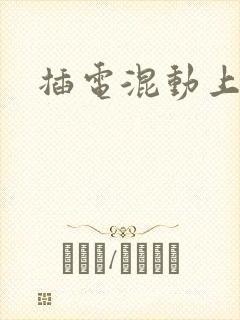 插电混动上蓝牌