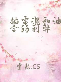 插电混和油电混合的利弊