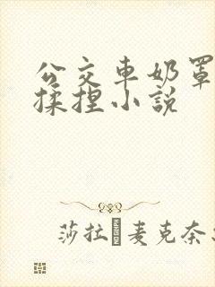 公交车奶罩伸进揉捏小说