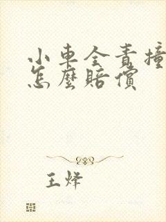 小车全责撞人后怎么赔偿