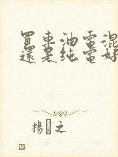 买车油电混合好还是纯电好呢
