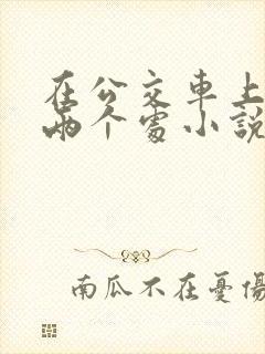 在公交车上破了两个处小说