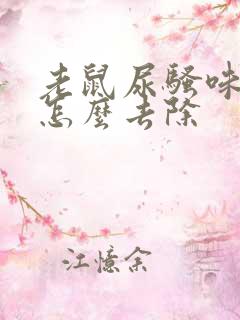 老鼠尿骚味太重怎么去除