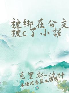 被绑在公交车里被c了小说