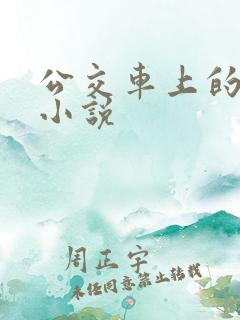 公交车上的邂逅小说