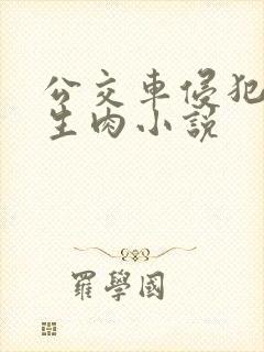 公交车侵犯小男生肉小说