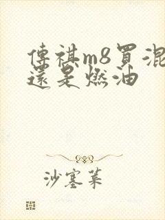 传祺m8买混动还是燃油