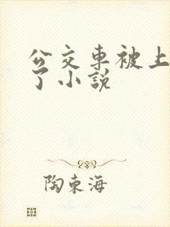 公交车被上高潮了小说
