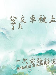 公交车被上高潮了h