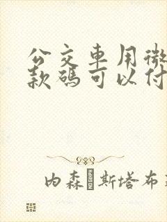 公交车用微信付款码可以付吗