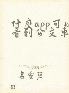 什么app可以看到公交车的实时信息