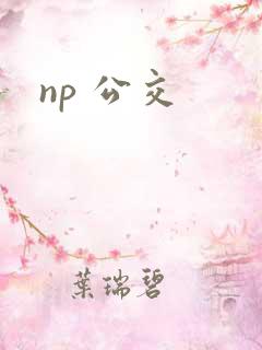 np 公交