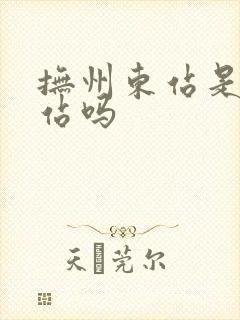 抚州东站是高铁站吗