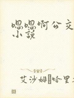 嗯嗯啊公交车上小说