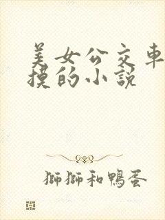 美女公交车上被摸的小说