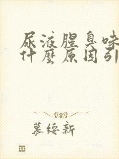 尿液腥臭味很重什么原因引起的
