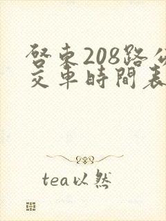 启东208路公交车时间表