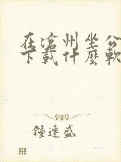 在沧州坐公交车下载什么软件