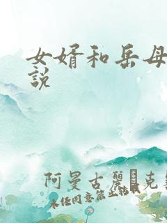 女婿和岳母 小说