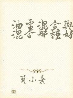油电混合与插电混合哪种好