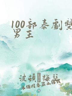 100部泰剧双男主