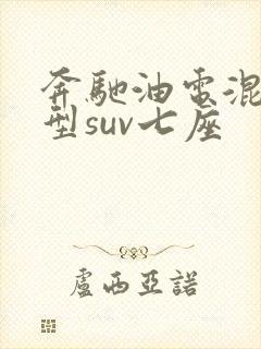 奔驰油电混合车型suv七座