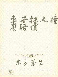 车子把人撞了怎么赔偿