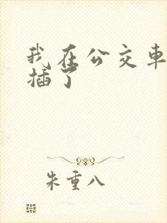 我在公交车上被插了